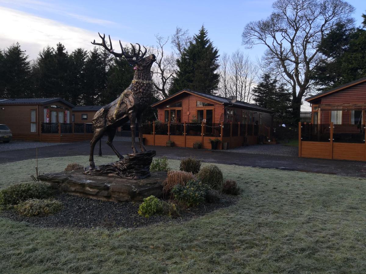 12 Burnside Lodge Auchterarder Exterior foto